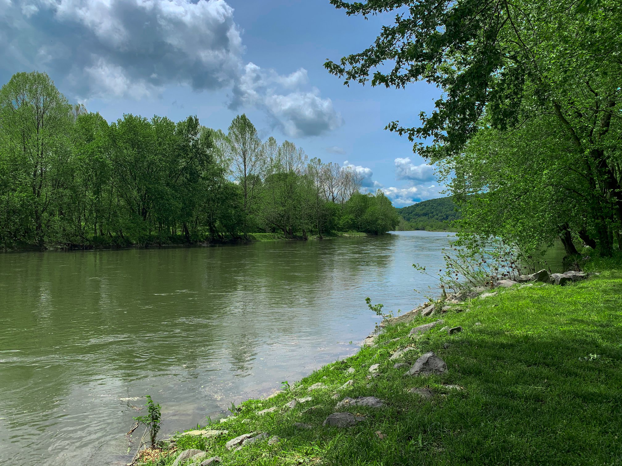 Neighborhood Spotlight Bluffs on the Potomac Ally Litten